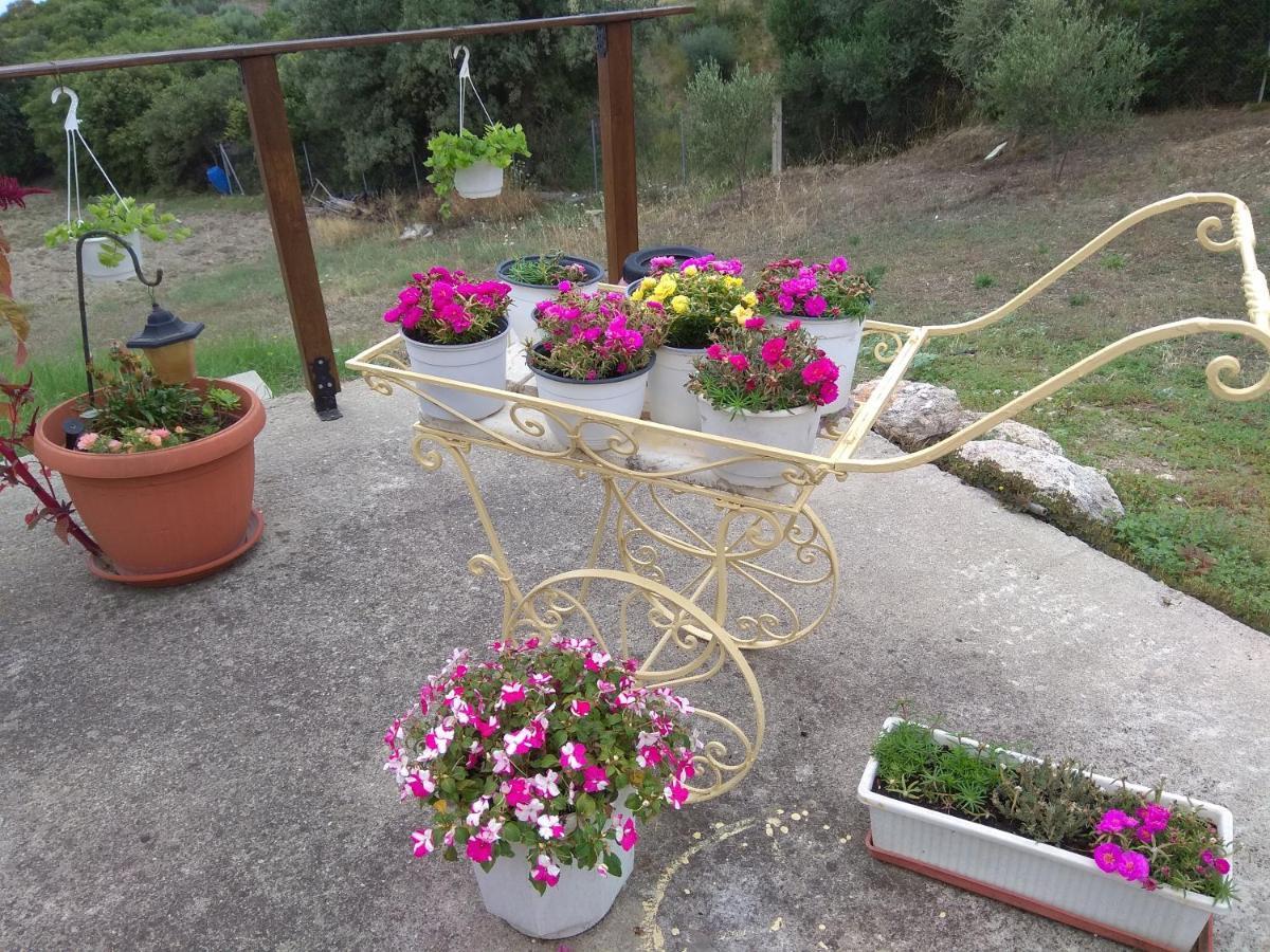 Country House At Alexandroupoli Nea Nea Makri Zewnętrze zdjęcie